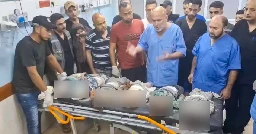 ‘Free world, where are you?’ Gaza hospital chief pleads after babies killed