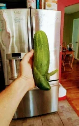 My cucumber has a little pickle - lemmyf.uk