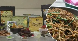 Vending machines selling edible insects for those game enough to try
