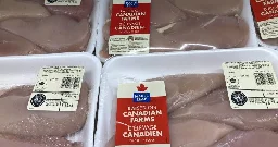 Canada sets sights on next plastic waste target: food packaging - National | Globalnews.ca