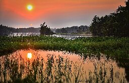 Half the nation's wetlands just lost federal protection. Their fate is up to states