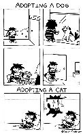 "Adopting" by Sarah C. Andersen (Sarah's Scribbles)