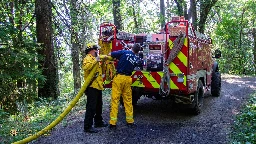 Portland Fire battles small vegetation fire in Forest Park Saturday morning