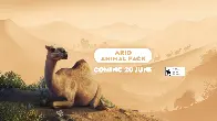 Planet Zoo Arid Animal Pack