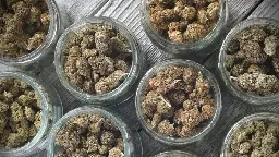Oregon: Legal Marijuana Stores Sold Over $80 Million in Marijuana in June