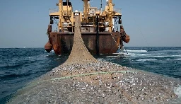 Amnesty International flags devastating impact of overfishing on local communities in Gambia -