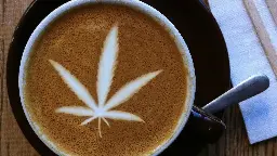 California Senate Passes Bill to Legalize Marijuana Cafes, Allow Live Performances at Marijuana Stores - The Marijuana Herald