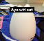 Eggcat