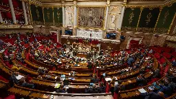 Covid-19 : le pass vaccinal définitivement adopté par le Parlement, après un ultime vote de l'Assemblée nationale