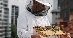 The Beekeepers Who Don’t Want You to Buy More Bees