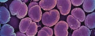 Gonorrhea is becoming unstoppable; highly resistant cases found in US