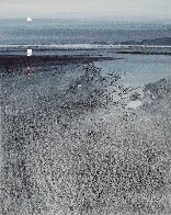 'Monkstone Point from Saundersfoot' watercolour by Naomi Tydeman