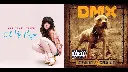 In honor of Twitter being rebranded as X, I humbly present to you DMX vs Carly Rae Jepsen. Enjoy.