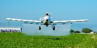 'Contamination Crisis': US Pesticides Contain PFAS, Endangering Food and Water.