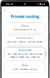 SimpleX network: private message routing, v5.8 released with IP address protection and chat themes