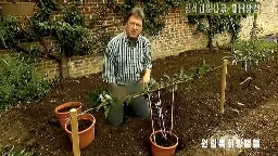 North Korean TV censors British gardening show host’s jeans | CNN
