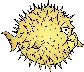 openbsd