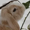 SoftBun