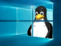 Porting Linux's eBPF to Windows 10 and Windows Server
