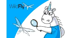 Checking WildFly, a JavaEE application server