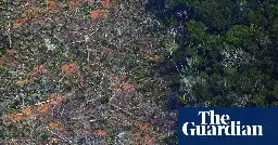 Outcry from environmentalists as Brazil fires official monitoring deforestation