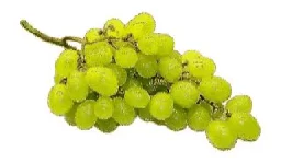 Grapes 🍇