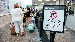 TSA Let State Senator Board A Flight To Hong Kong With A Revolver