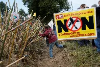 The ZAD: between utopian radicalism and negotiated pragmatism