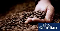 Researchers one step closer to growing decaffeinated coffee beans