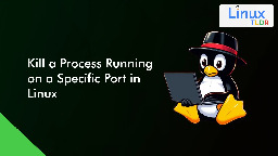 Kill a Process Running on a Specific Port in Linux (via 4 Methods)