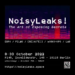 NoisyLeaks!