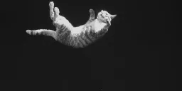 The surprisingly complicated physics of why cats always land on their feet