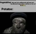 potatoes are fruit