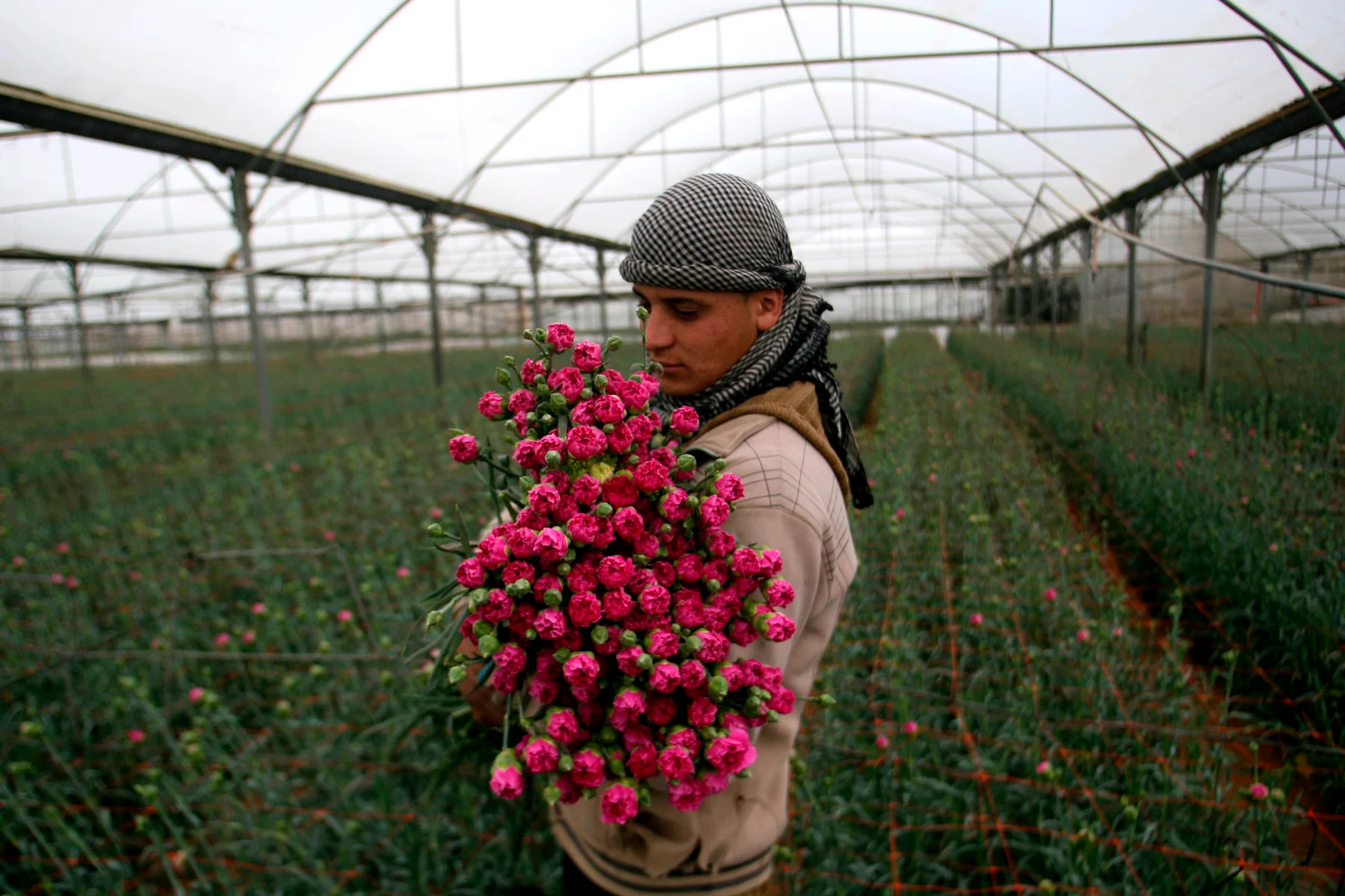 Homem com um lenço na cabeça segurando um buque de flores, dentro de uma estufa de flores.