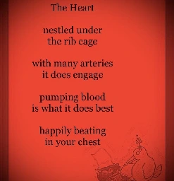 The Heart