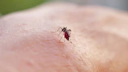 Paris Olympics aims to be mosquito-free