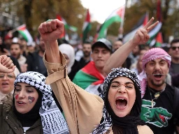 ‘Complete censorship’: Germany’s Palestinian diaspora fights crackdown