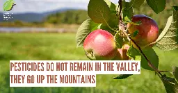 Pesticides do not remain in the valley, they go up the mountains