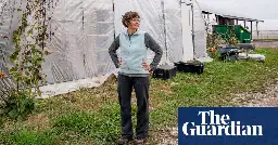 ‘No normal seasons any more’: seed farmers struggle amid the climate crisis