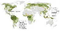 Creating an eco-corridor to restore rain