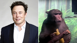 "Extreme suffering": 15 of 23 monkeys with Elon Musk's Neuralink brain chips reportedly died