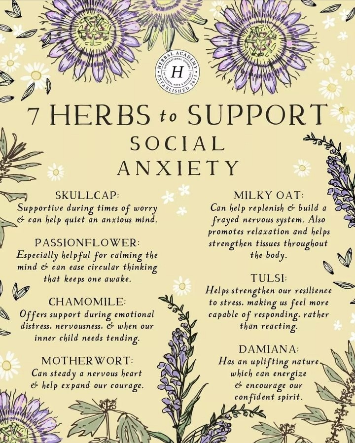 7 Herbs to Support Social Anxiety