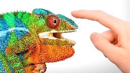 When a Chameleon Trusts You…