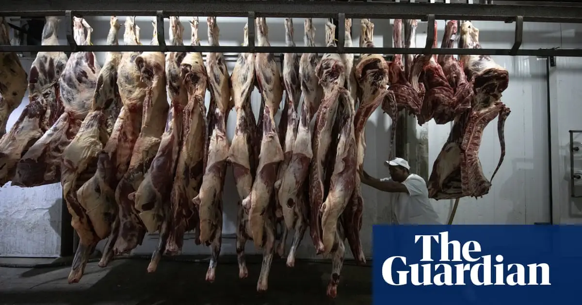 Plans to present meat as ‘sustainable nutrition’ at Cop28 revealed