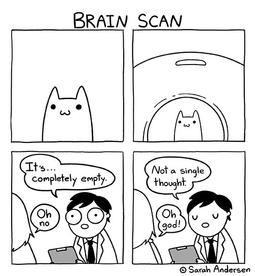 A comic by Sarah Andersen titled 'Brain Scan". A cat with a smiling face is being put in a MRI machine. A schocked doctor reports to the cat's owner: "It's... completely empty." "Oh, no." "Not a single though." "Oh, god!".