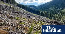 EU criminalises environmental damage ‘comparable to ecocide’