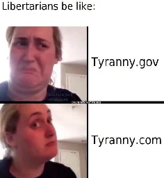 title text "Libertarians be like:" above 2-panel "Kombucha Girl" meme format, disgusted face next to "tyranny.gov", reconsidering face next to "tyranny.com"