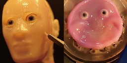 This smiling robot face made of living skin is absolute nightmare fuel | TechCrunch