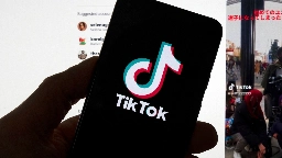 ByteDance prefers TikTok shutdown in U.S. if legal options fail, Reuters sources say