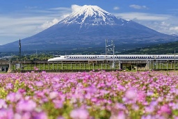 Is the shine coming off Japan's bullet trains? - Asia Times